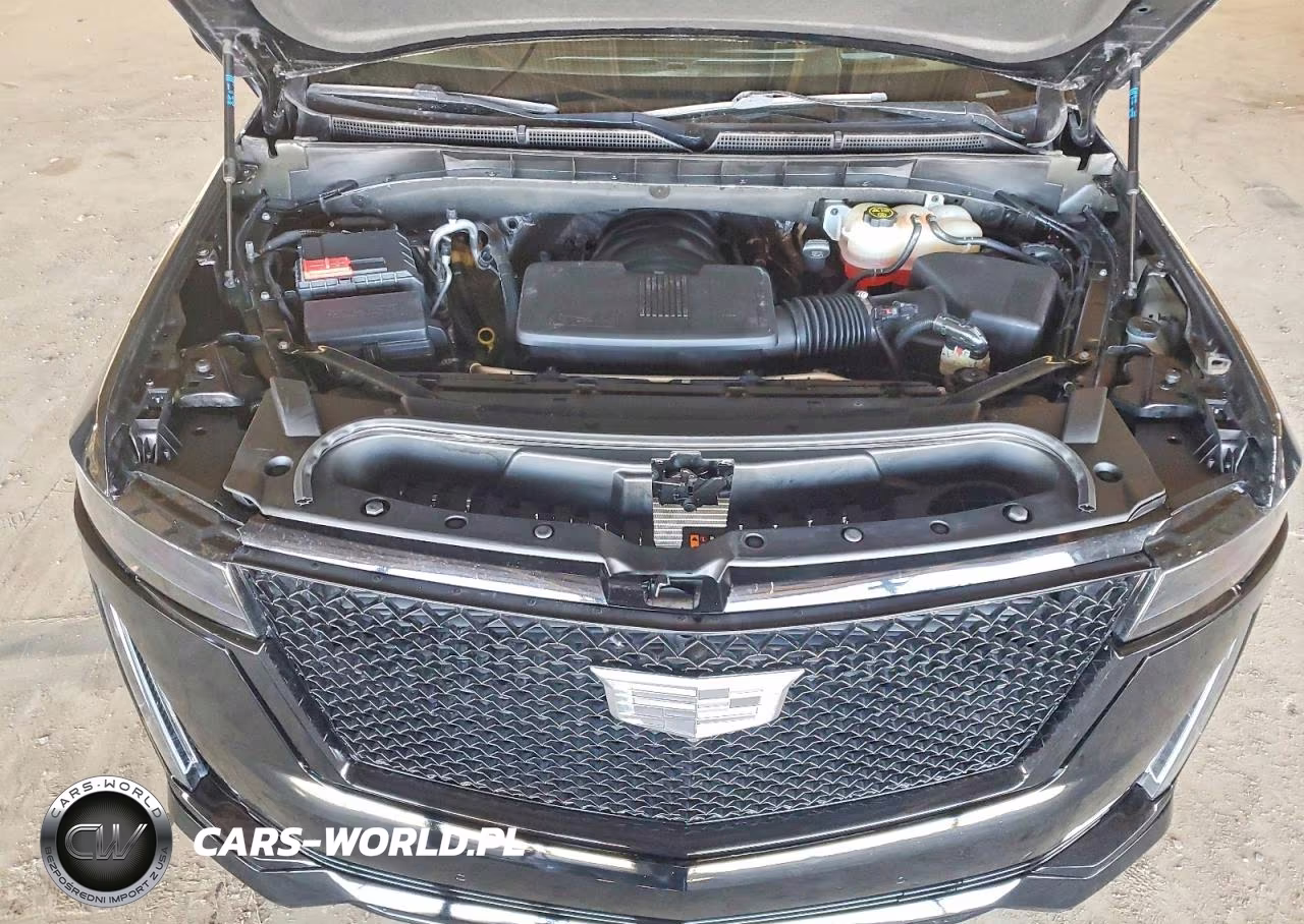 2023 Cadillac Escalade 4Wd Sport Platinum VIN:1GYS4GKL0PR271105 - 12