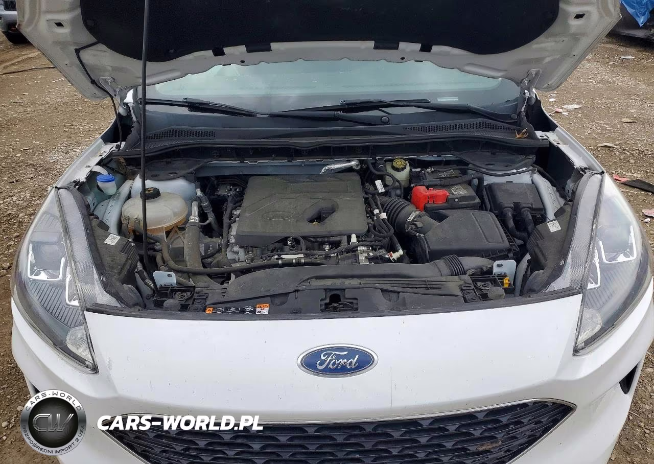 2020 Ford Escape Se VIN:1FMCU9G62LUB81661 - 12