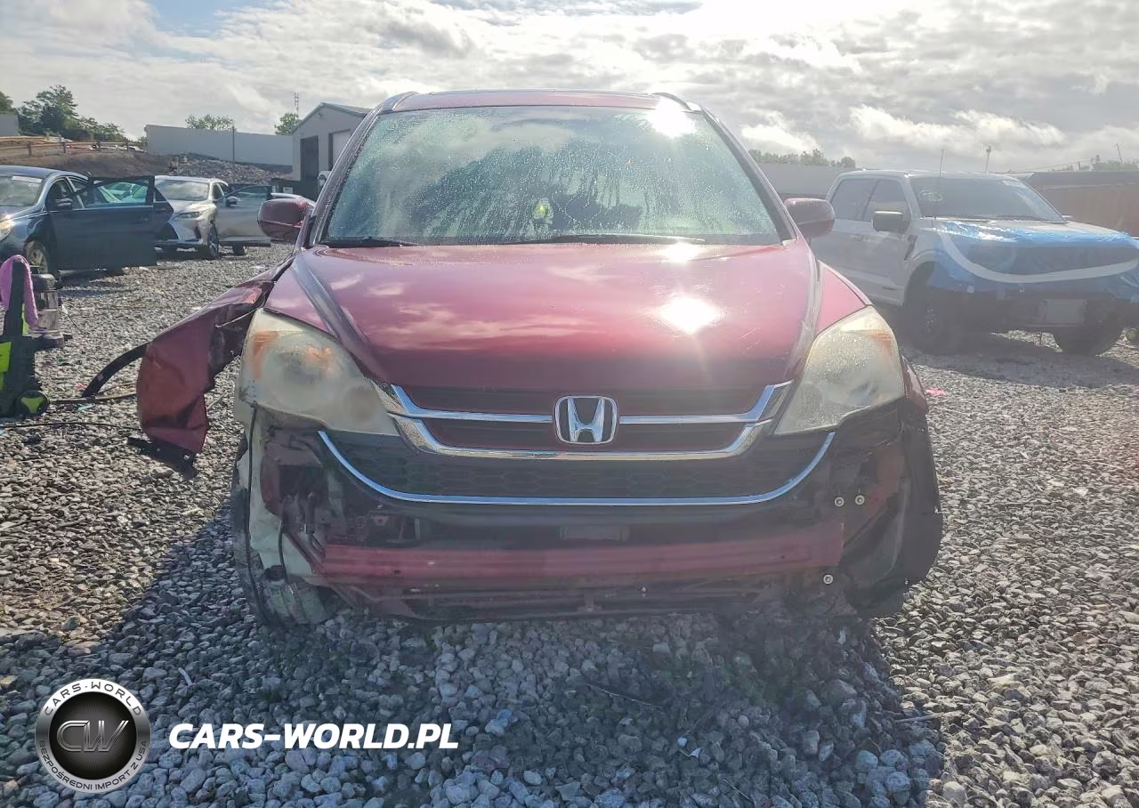 2010 Honda Cr-V Exl VIN:5J6RE3H72AL000670 - 5