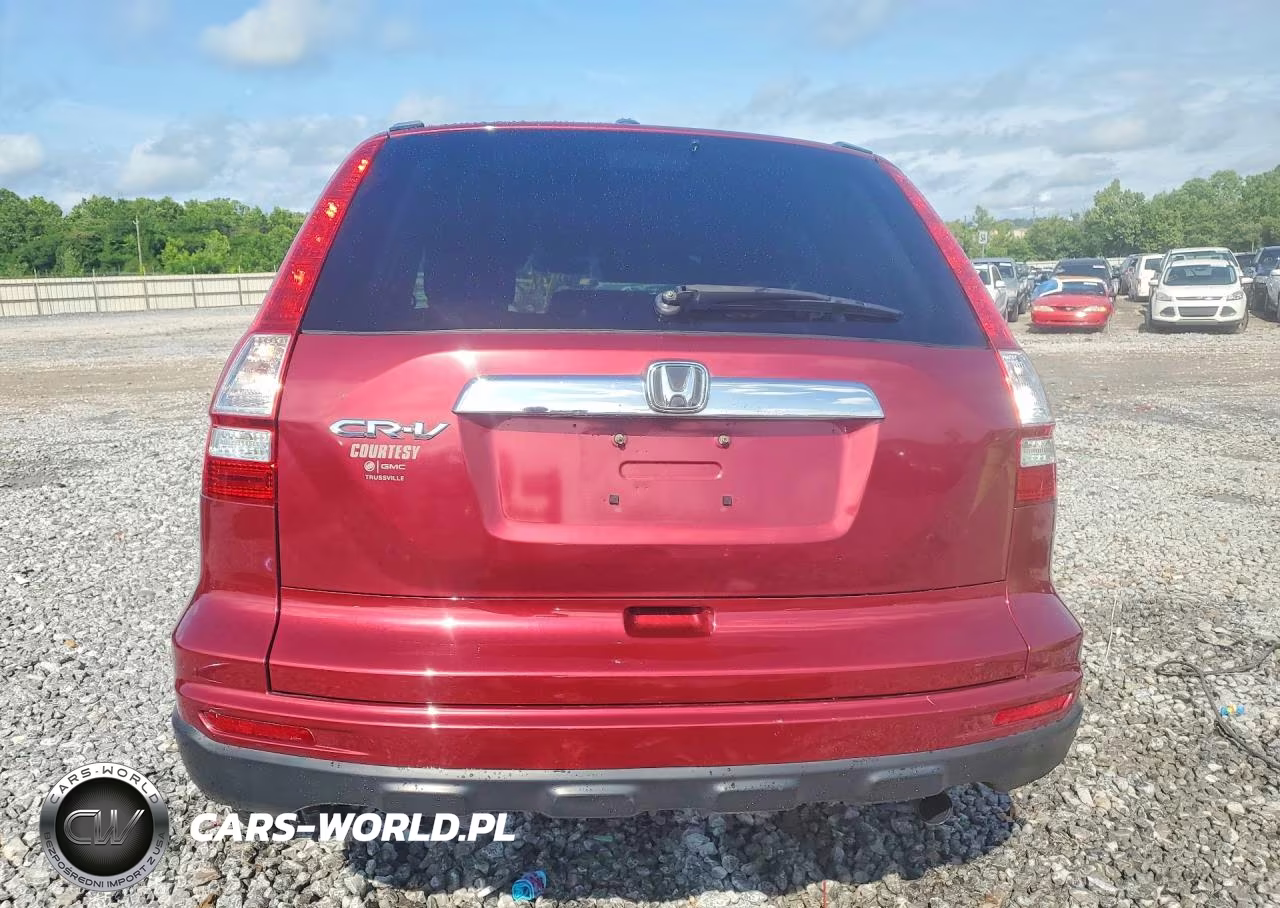 2010 Honda Cr-V Exl VIN:5J6RE3H72AL000670 - 6
