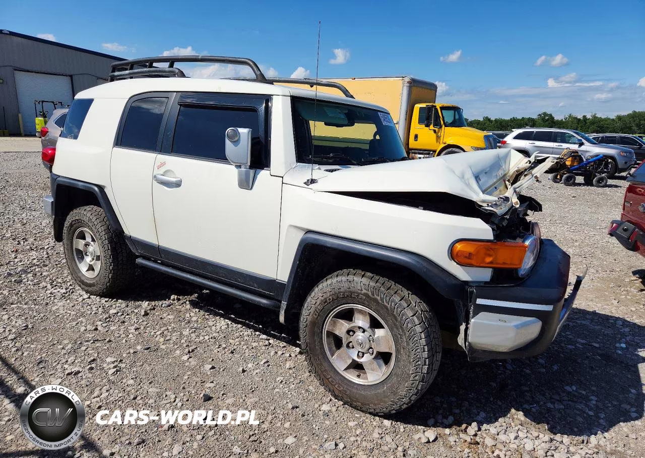 2010 Toyota Fj Cruiser Base VIN:JTEBU4BF0AK079211 - 4