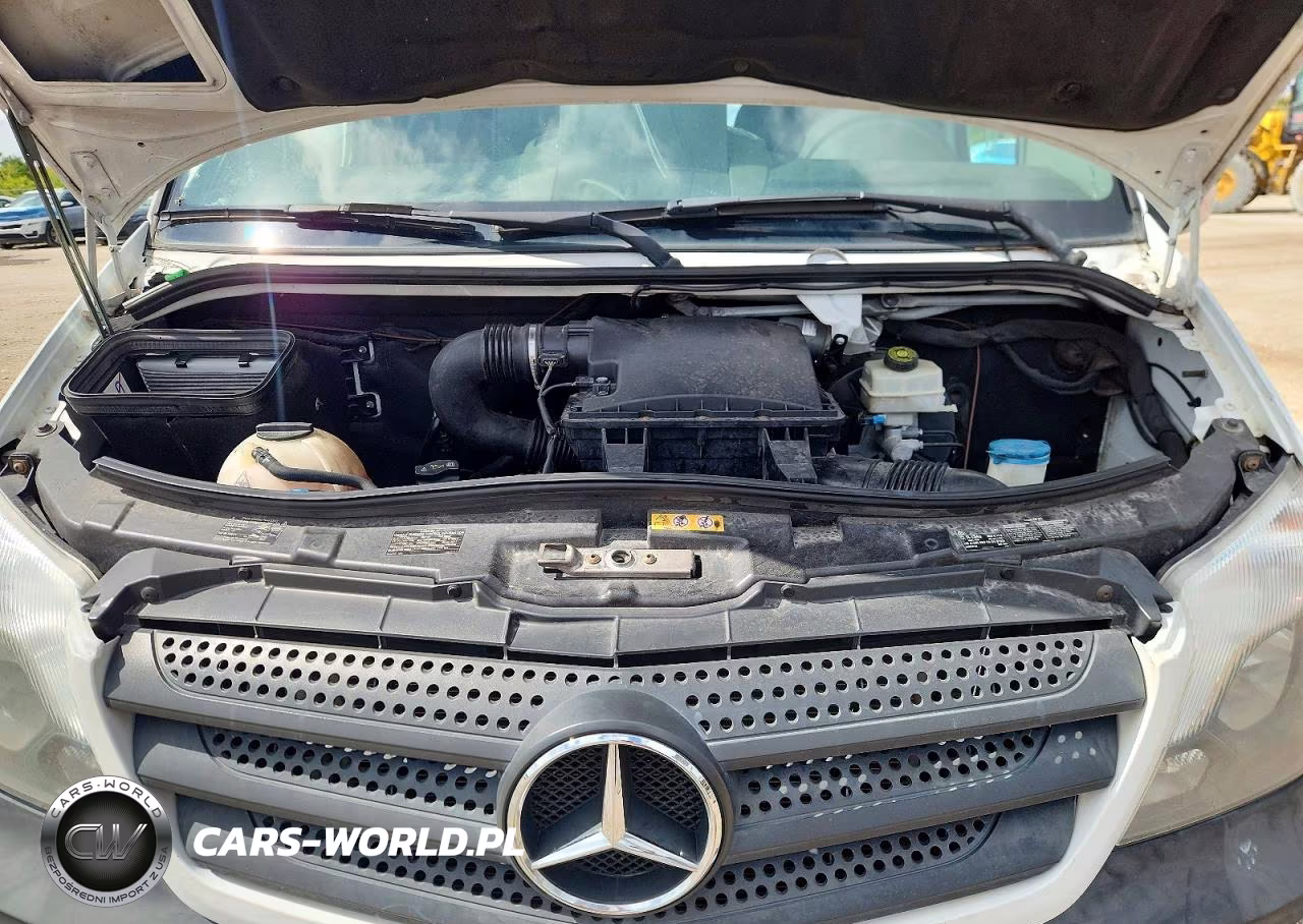 2017 Mercedes-Benz Sprinter 2500 VIN:WD3PE8CD7HP559099 - 12