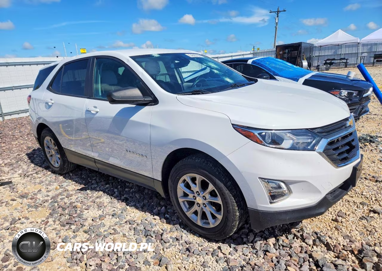 2020 Chevrolet Equinox Ls VIN:3GNAXHEV0LS591387 - 4