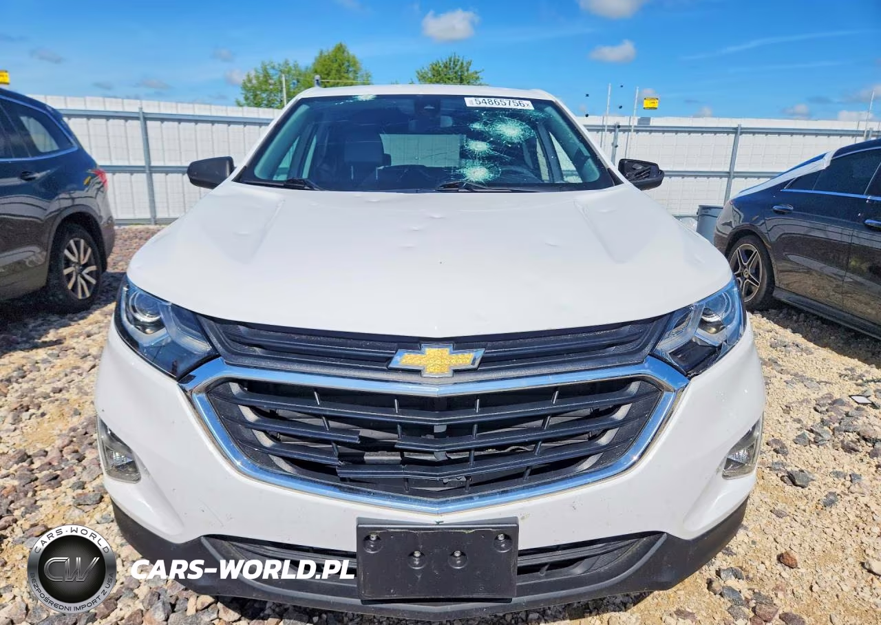 2020 Chevrolet Equinox Ls VIN:3GNAXHEV0LS591387 - 5