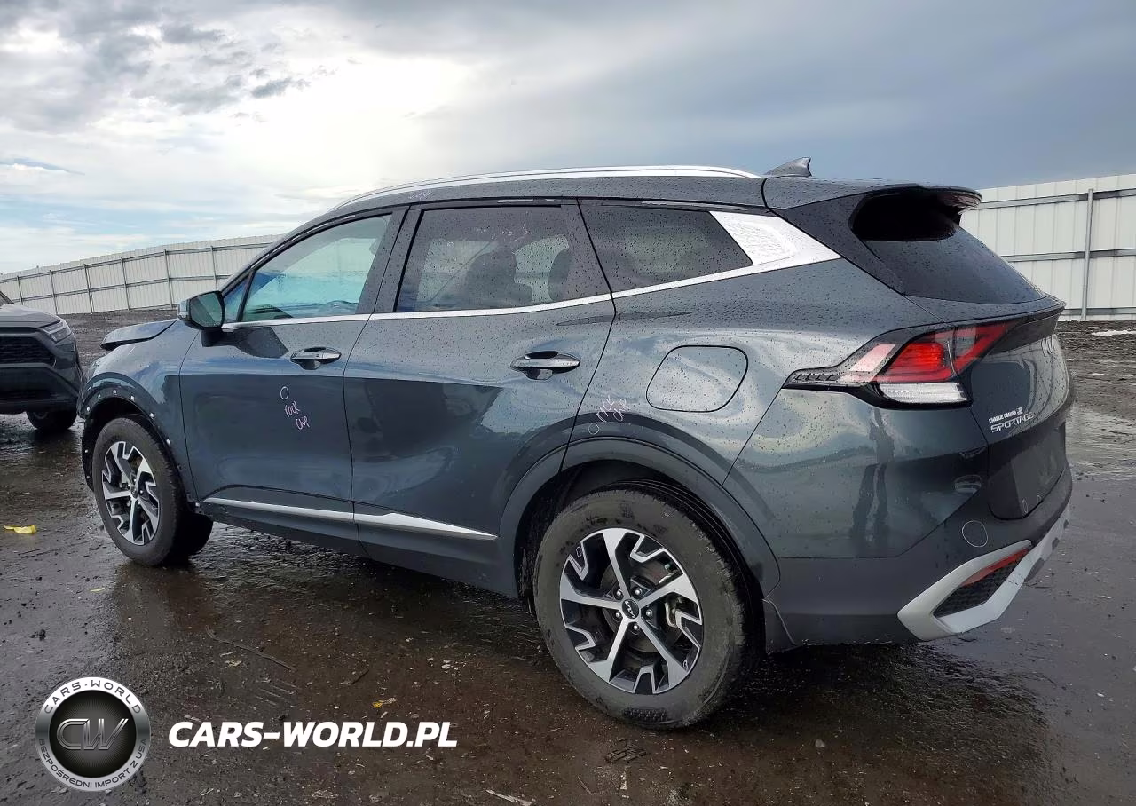 2024 Kia Sportage Ex VIN:5XYK3CDF3RG222622 - 2