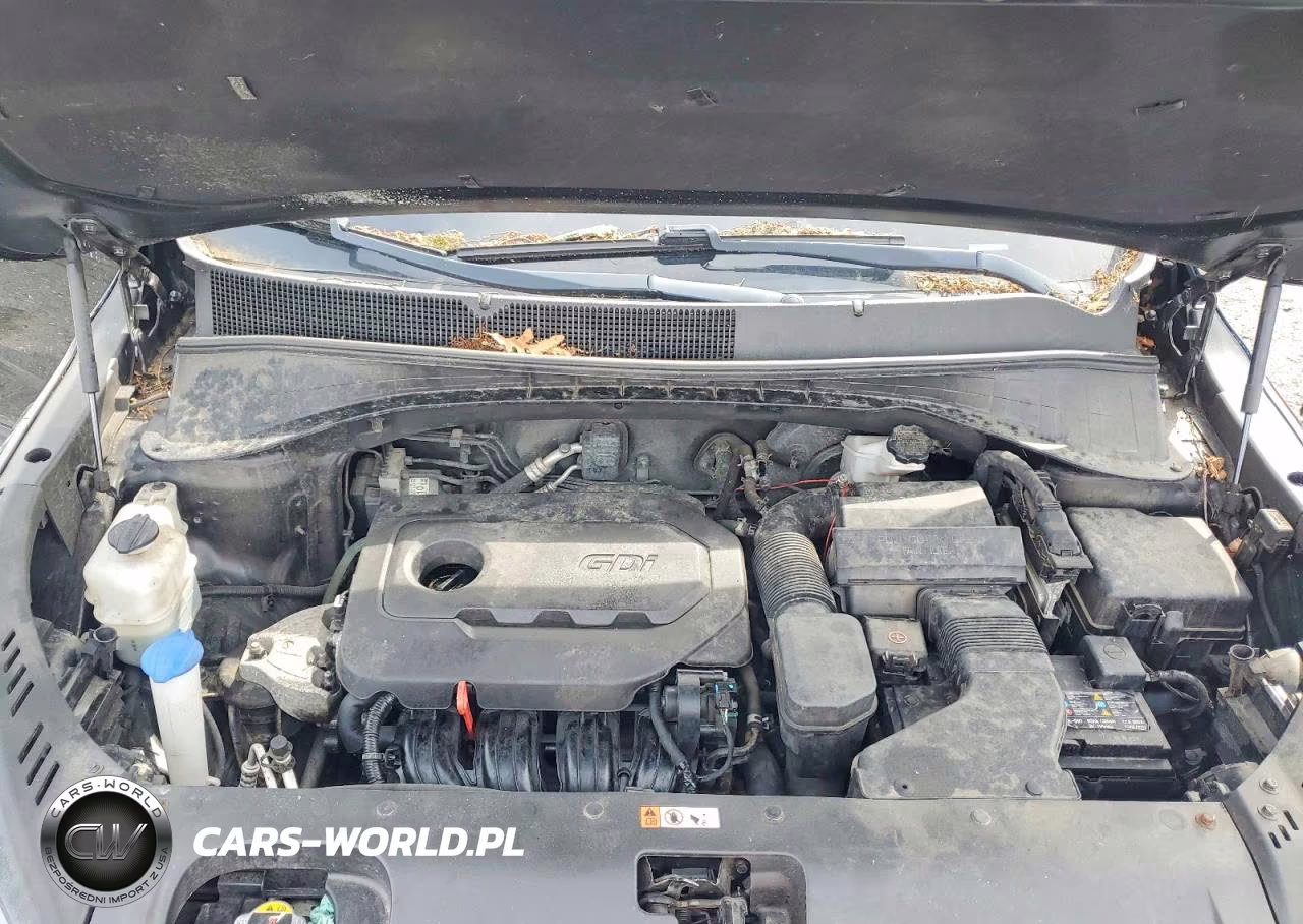 2019 Kia Sorento Lx VIN:5XYPGDA31KG445368 - 12
