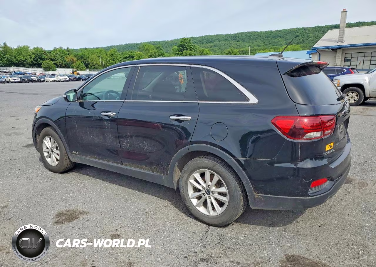 2019 Kia Sorento Lx VIN:5XYPGDA31KG445368 - 2
