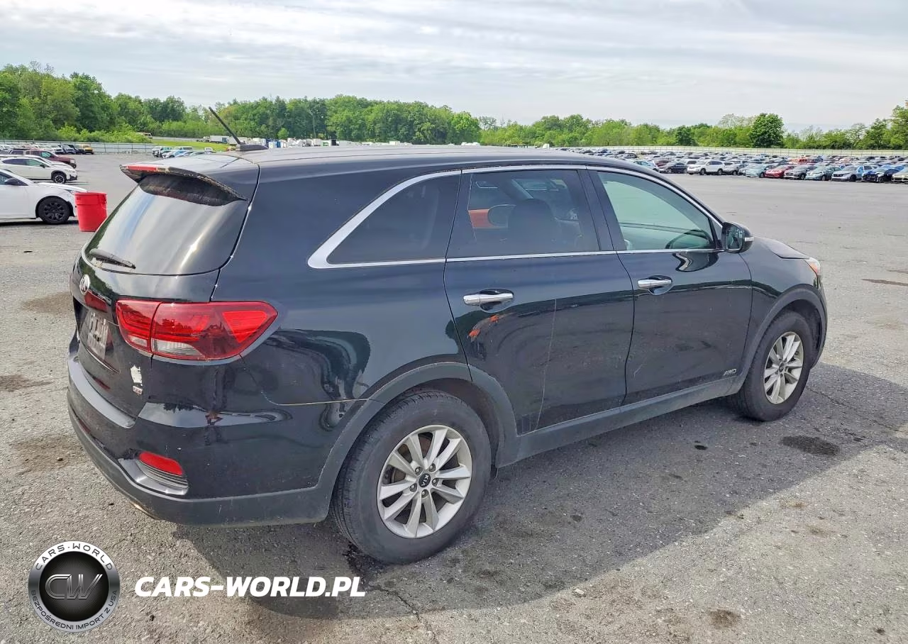2019 Kia Sorento Lx VIN:5XYPGDA31KG445368 - 3
