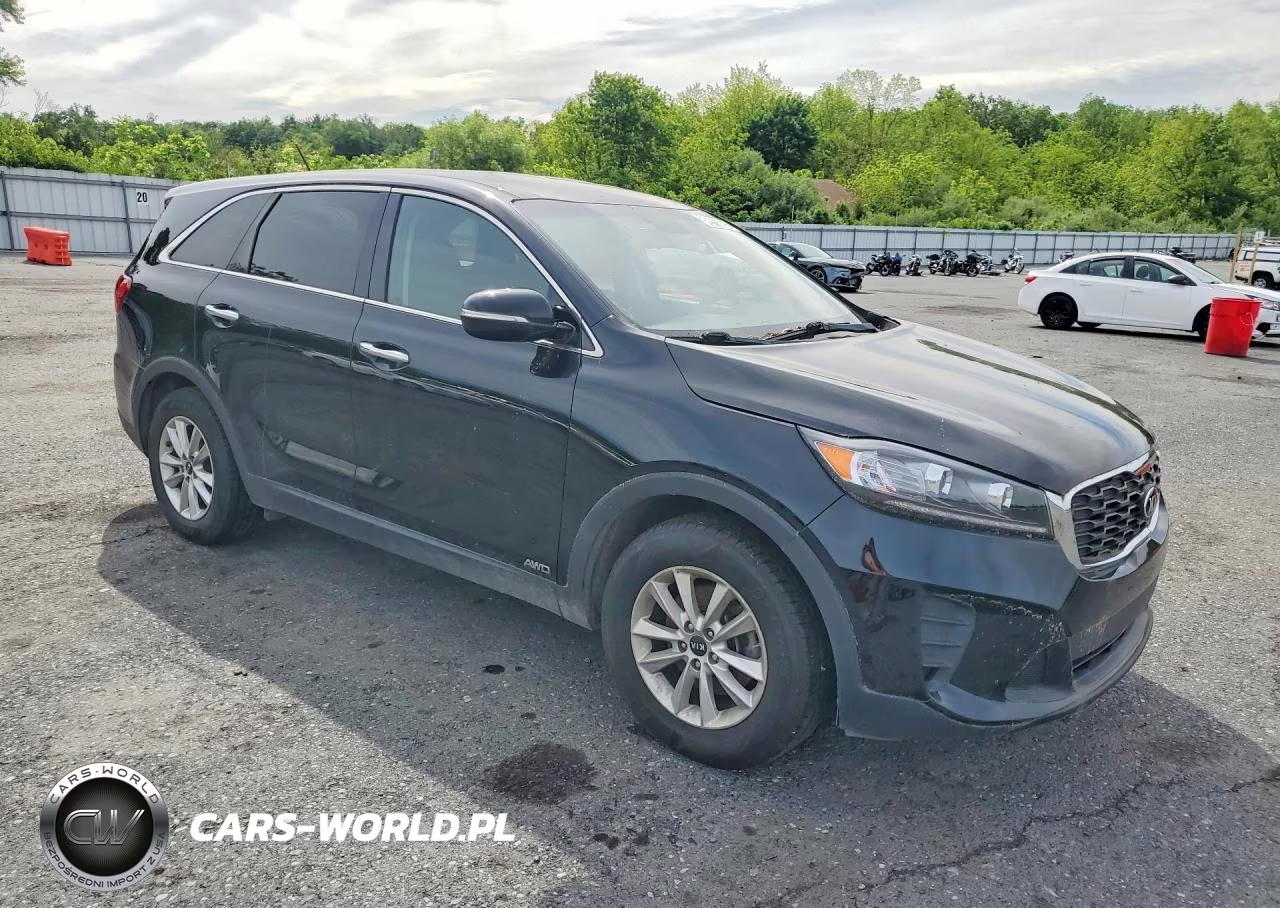 2019 Kia Sorento Lx VIN:5XYPGDA31KG445368 - 4