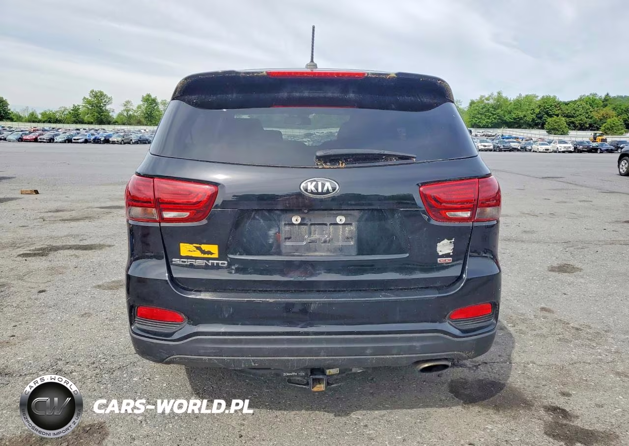 2019 Kia Sorento Lx VIN:5XYPGDA31KG445368 - 6