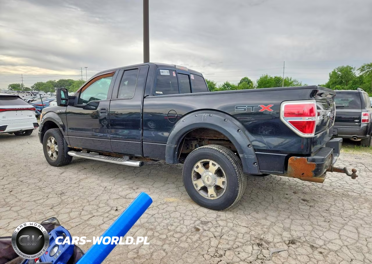 2010 Ford F150 Super Cab VIN:1FTEX1E81AFA49566 - 2