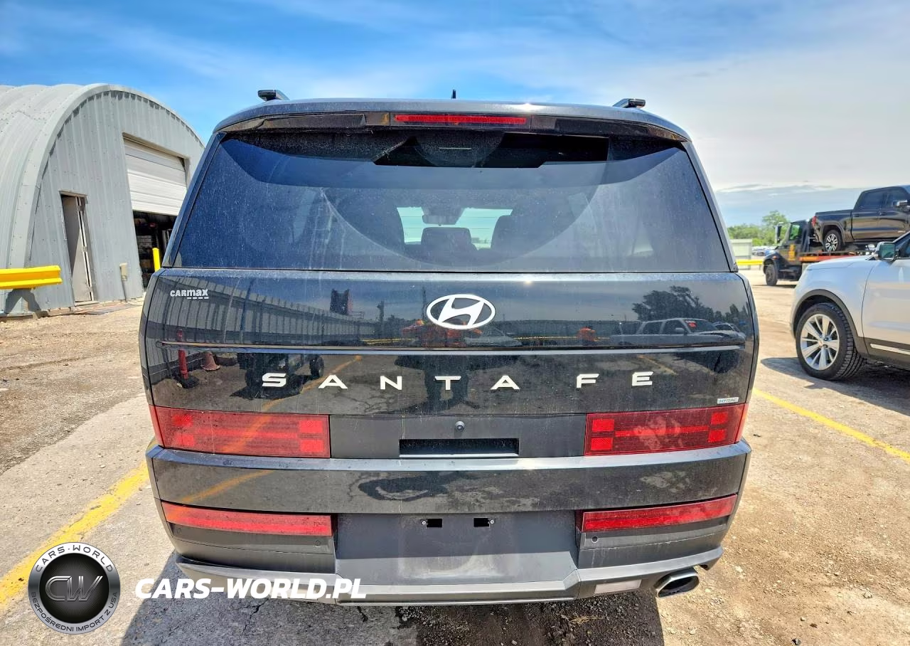 2025 Hyundai Santa Fe Sel VIN:5NMP2DGL1SH101180 - 6
