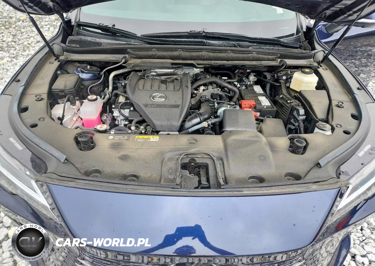 2025 Lexus Rx 350 Premium+ VIN:2T2BAMBAXSC064120 - 12