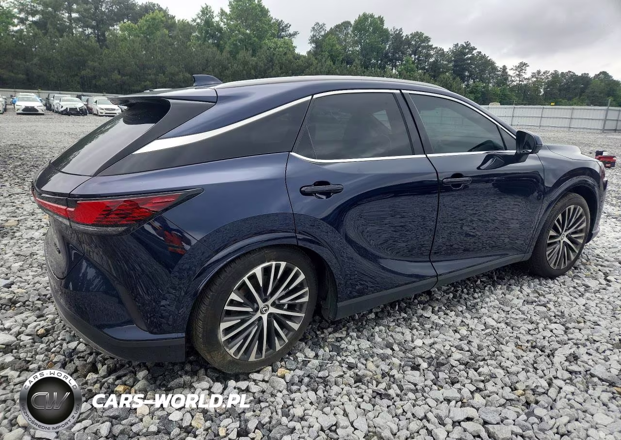 2025 Lexus Rx 350 Premium+ VIN:2T2BAMBAXSC064120 - 3