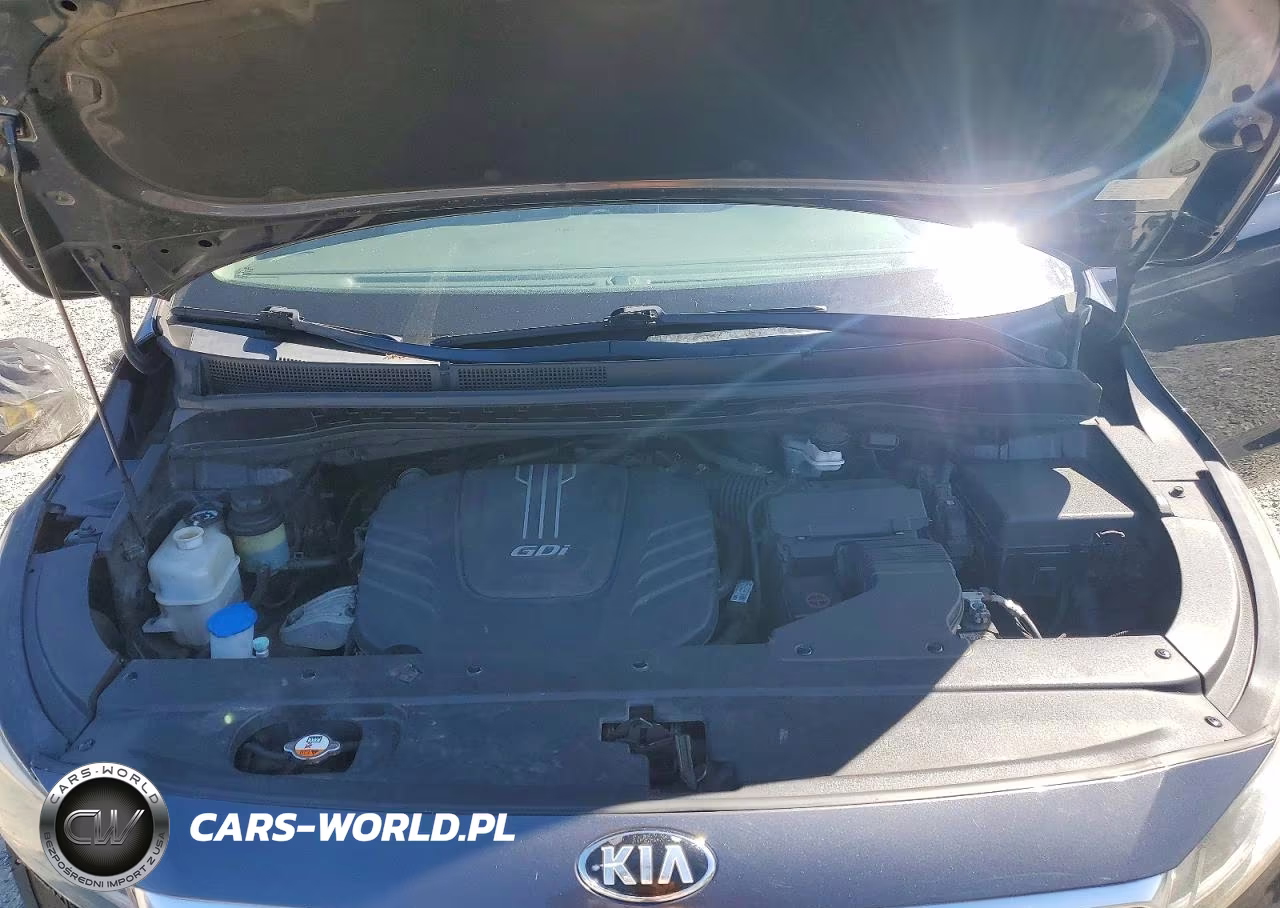 2015 Kia Sedona Lx VIN:KNDMB5C12F6029888 - 12