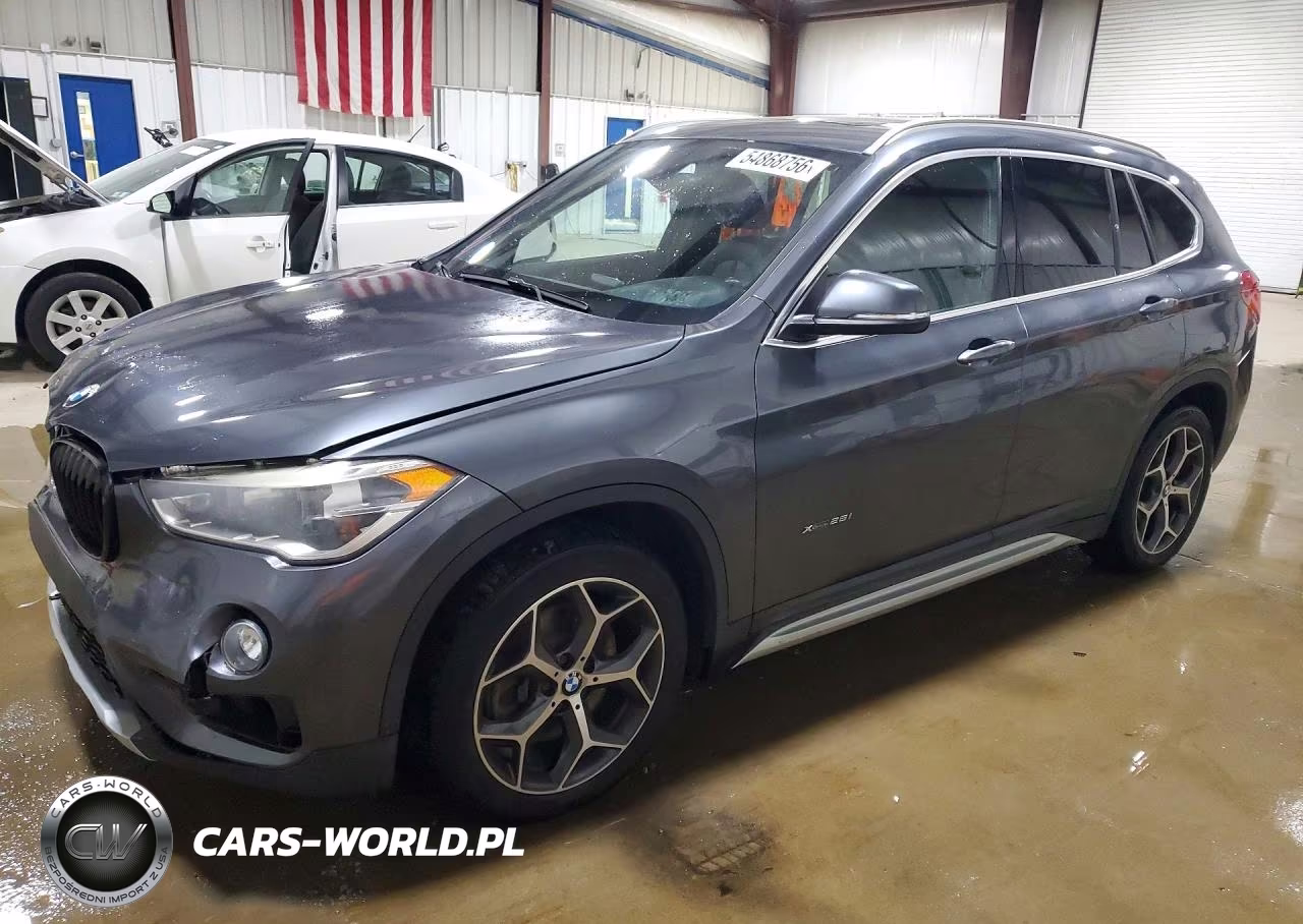 2017 BMW X1 xDrive28I – zdjęcie 1 z 14