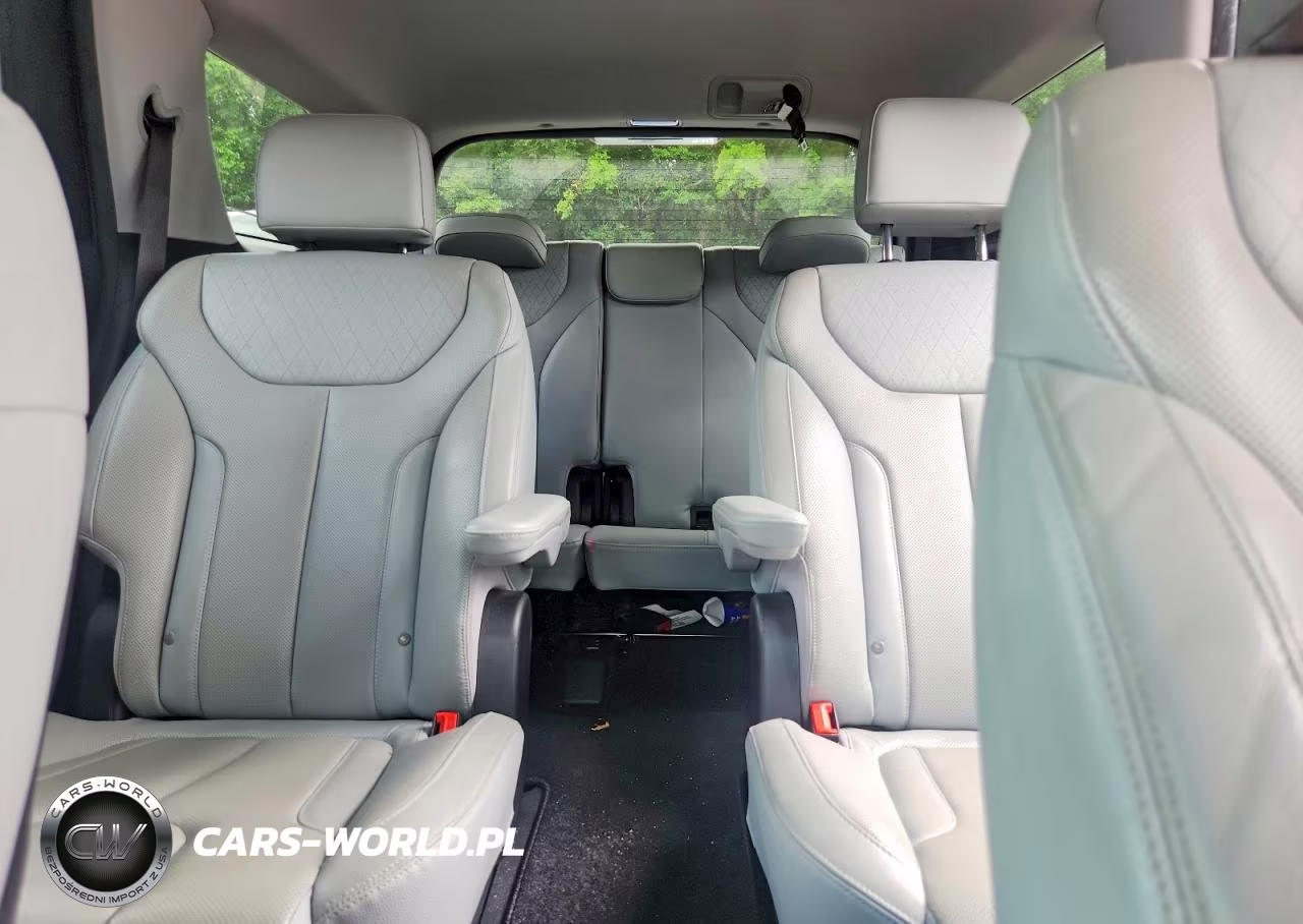 2020 Hyundai Palisade Sel VIN:KM8R44HE7LU157617 - 10