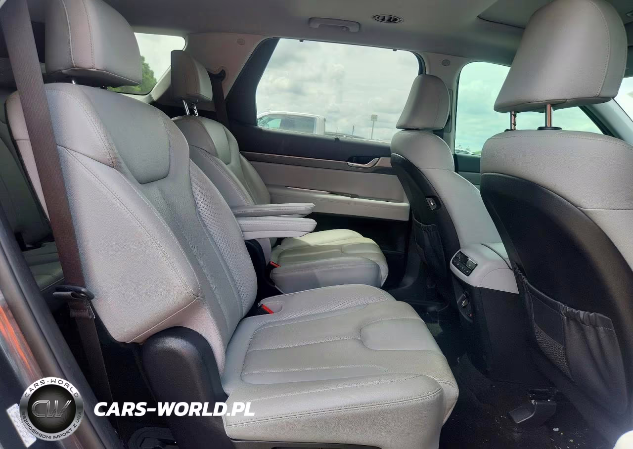 2020 Hyundai Palisade Sel VIN:KM8R44HE7LU157617 - 11