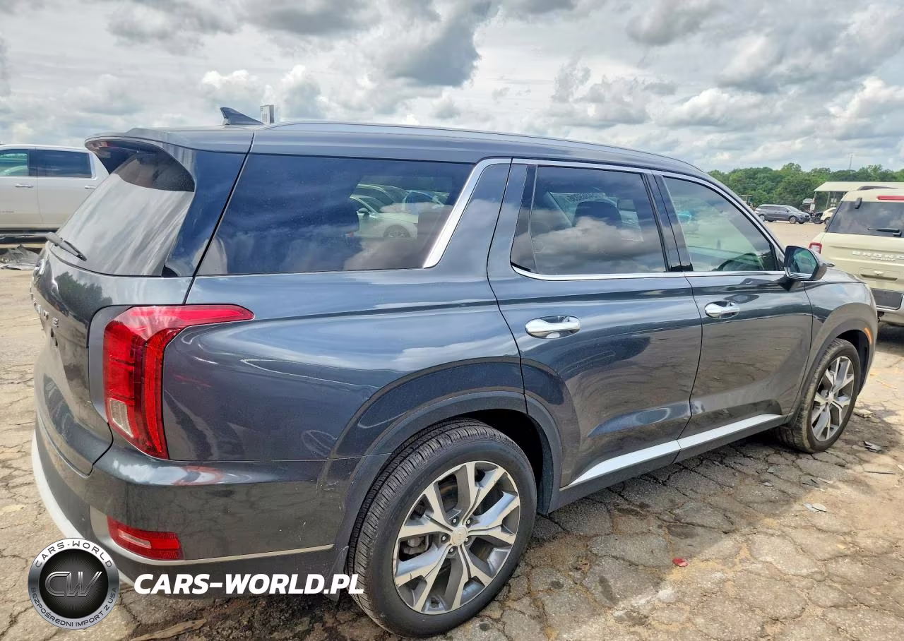 2020 Hyundai Palisade Sel VIN:KM8R44HE7LU157617 - 3