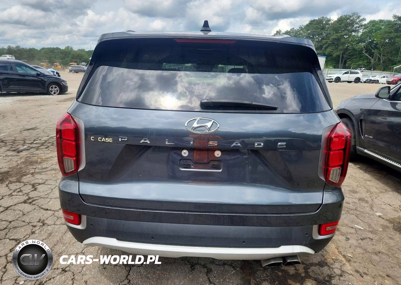2020 Hyundai Palisade Sel VIN:KM8R44HE7LU157617 - 6