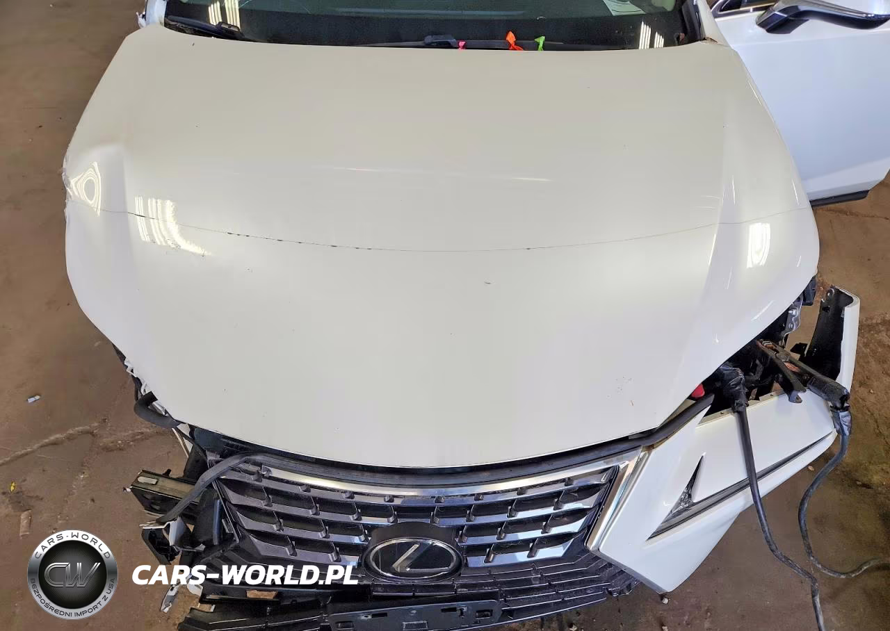 2018 Lexus Nx 300 Base VIN:JTJBARBZ3J2166246 - 11