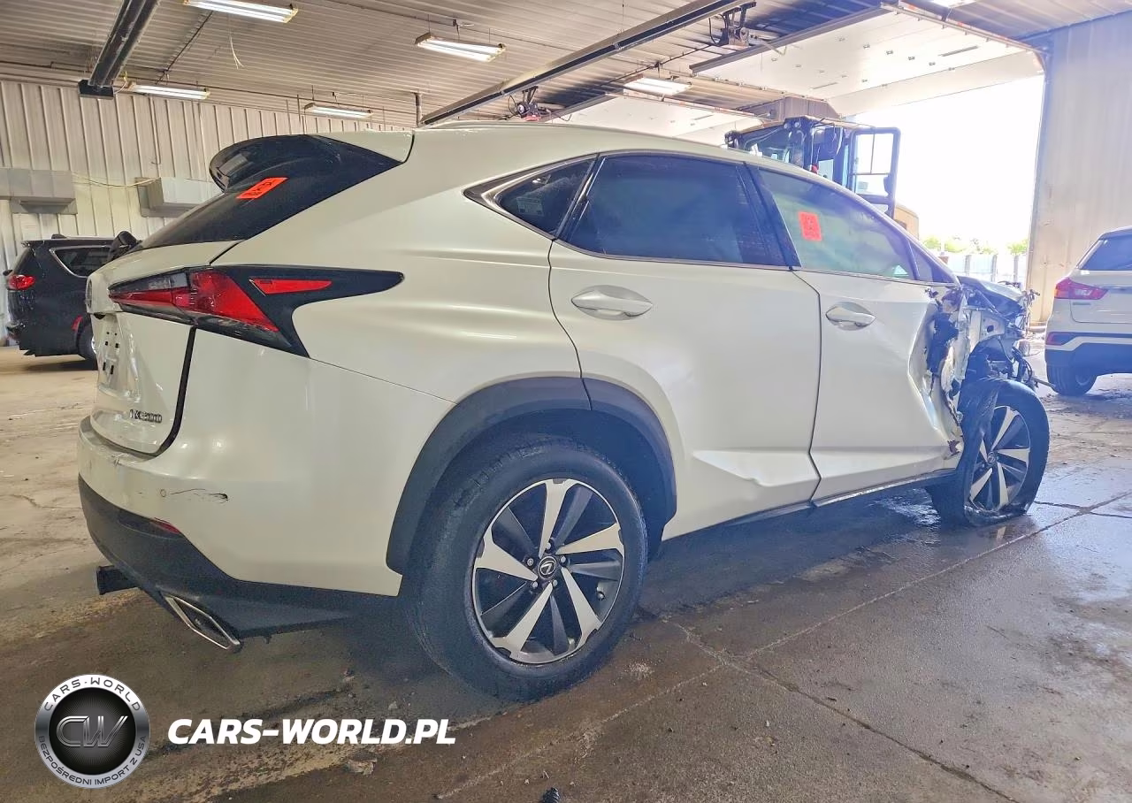 2018 Lexus Nx 300 Base VIN:JTJBARBZ3J2166246 - 3
