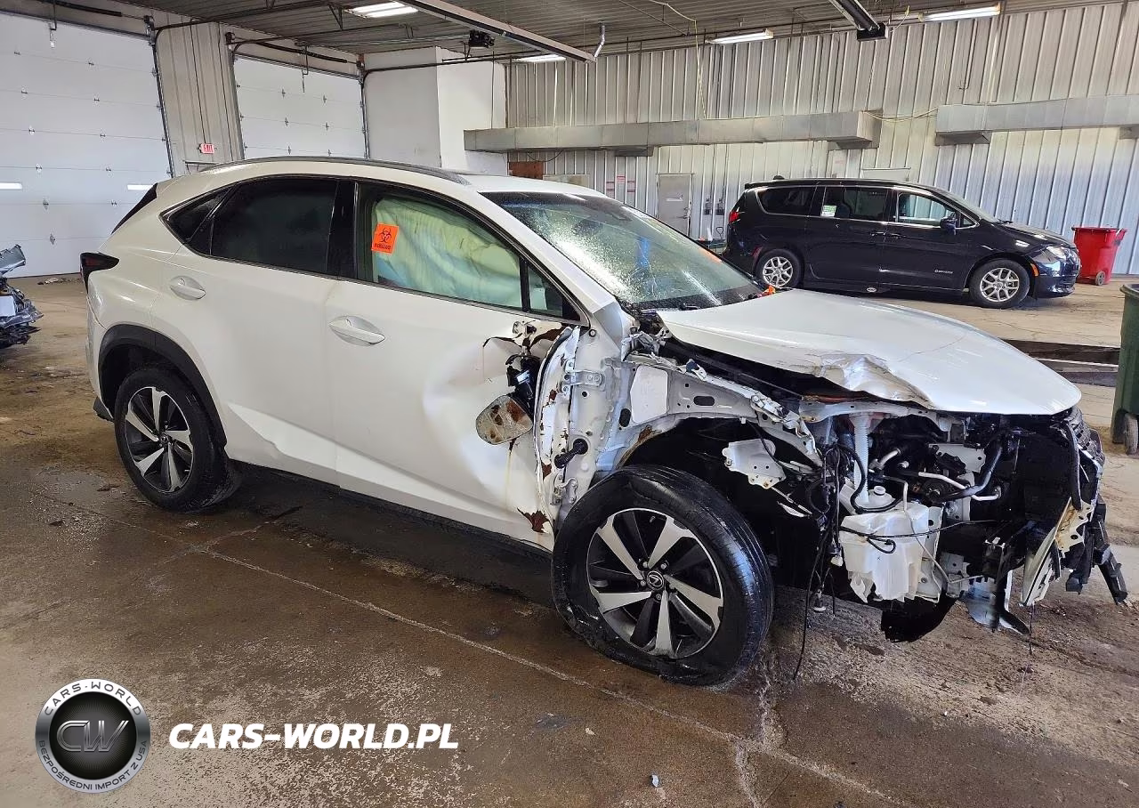 2018 Lexus Nx 300 Base VIN:JTJBARBZ3J2166246 - 4