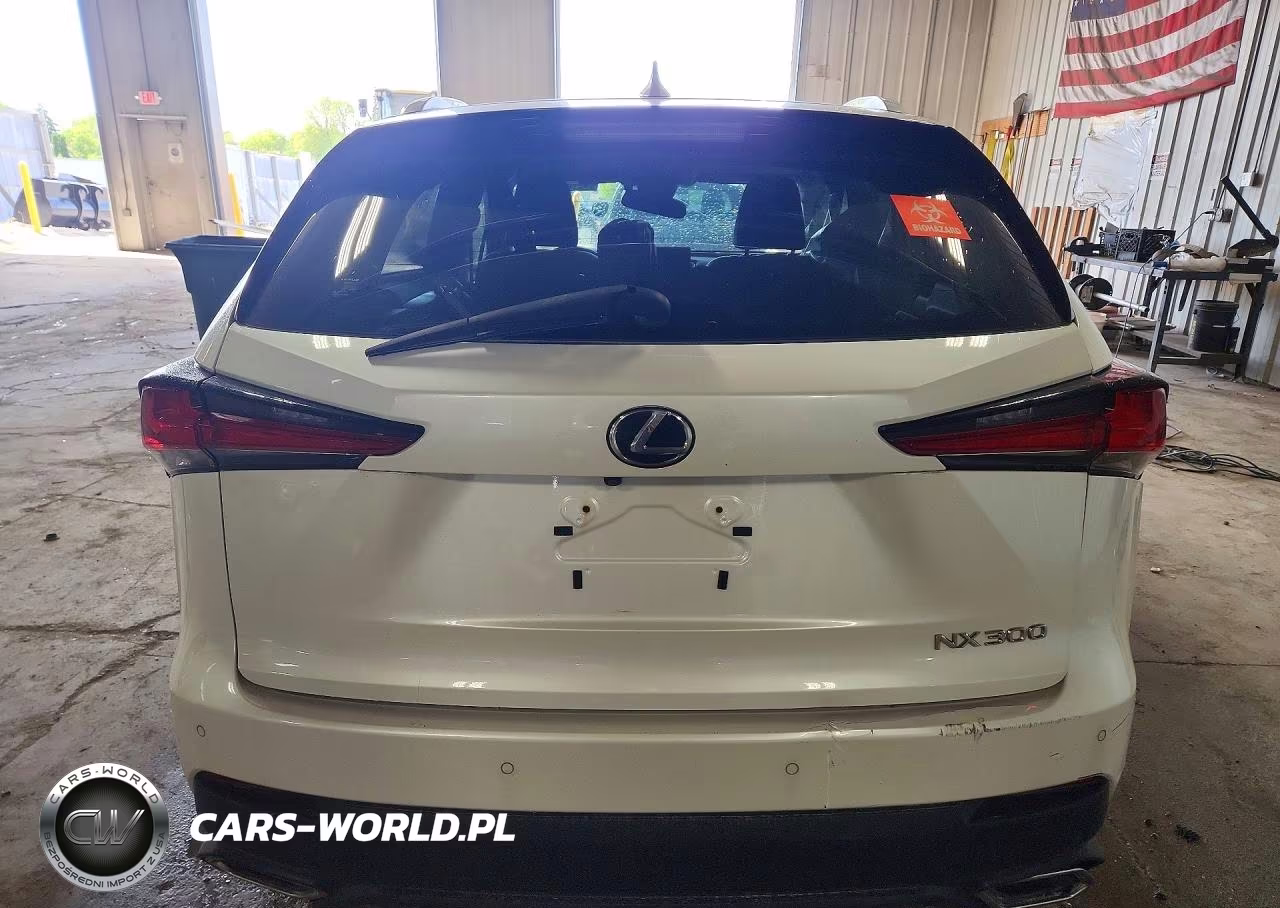 2018 Lexus Nx 300 Base VIN:JTJBARBZ3J2166246 - 6