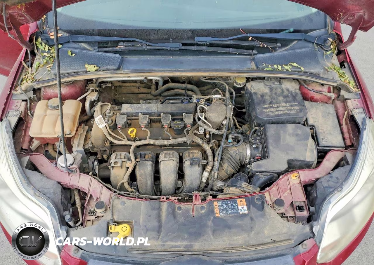 2014 Ford Focus Se VIN:1FADP3F21EL325811 - 11