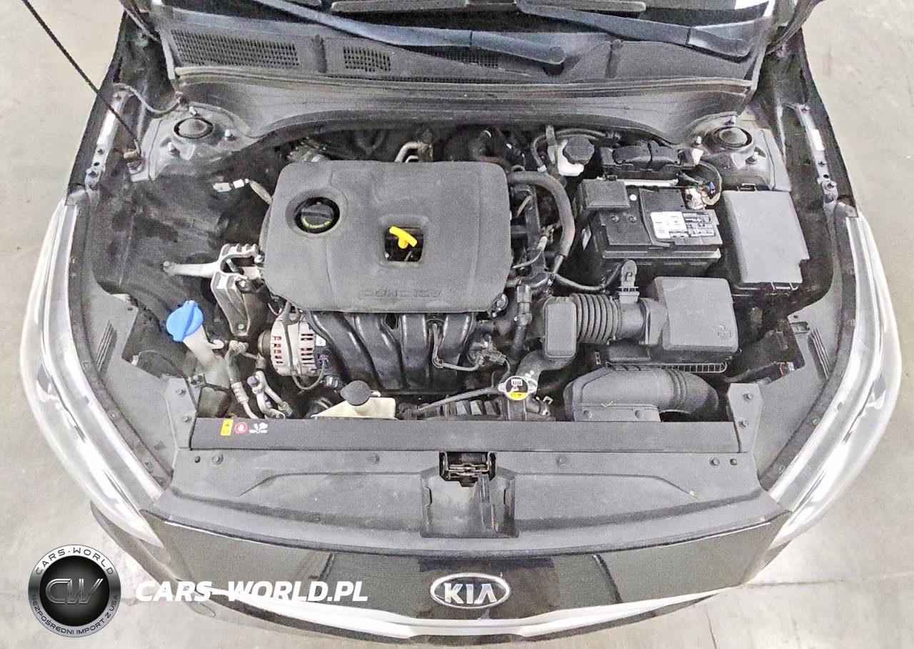 2020 Kia Forte Fe VIN:3KPF24ADXLE190575 - 11