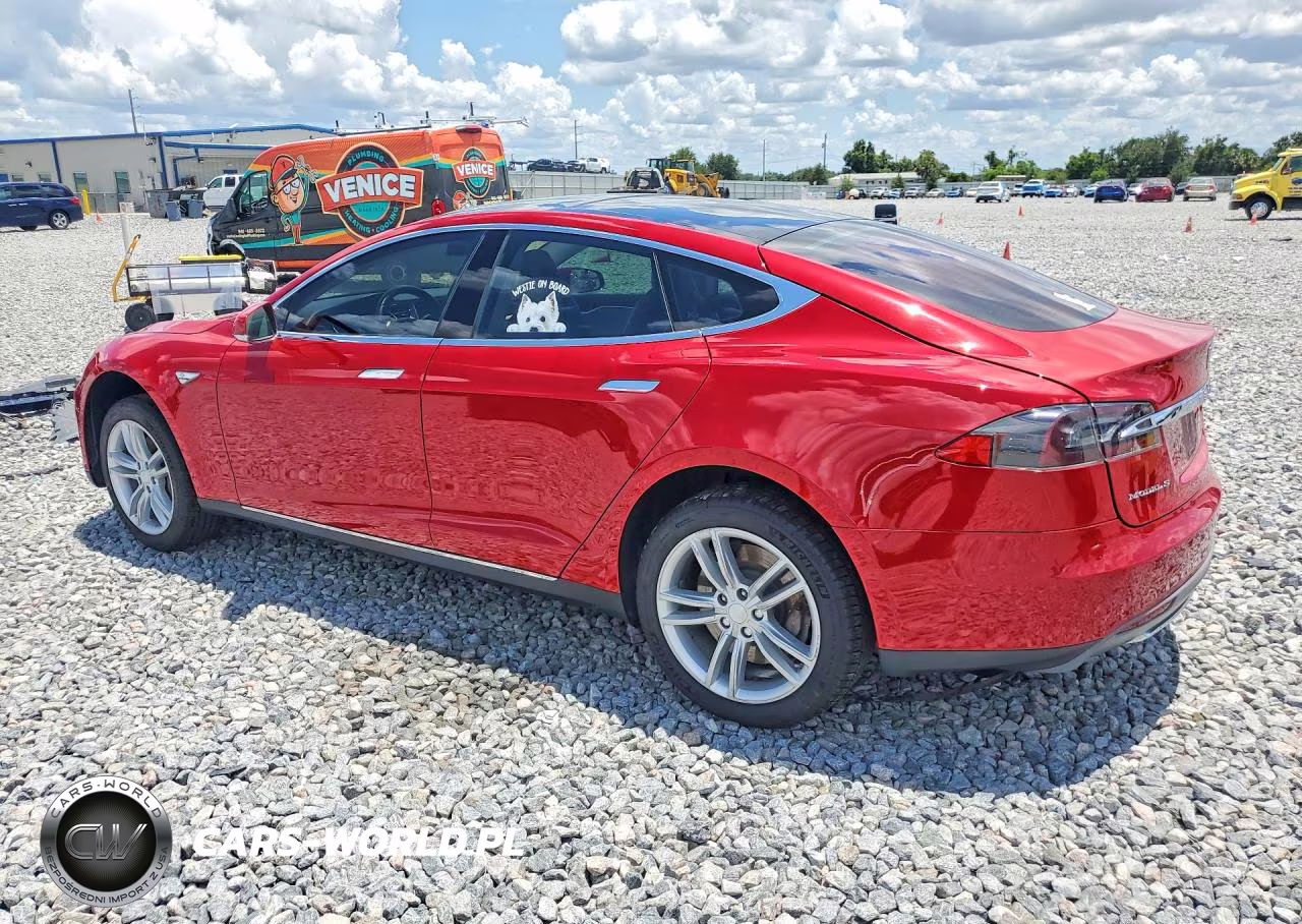 2013 Tesla Model S VIN:5YJSA1CN5DFP09694 - 2