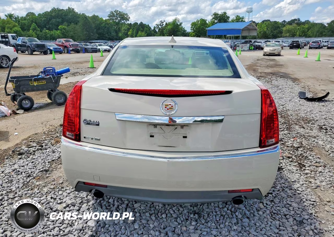2010 Cadillac Cts Luxury Collection VIN:1G6DE5EG5A0103537 - 6