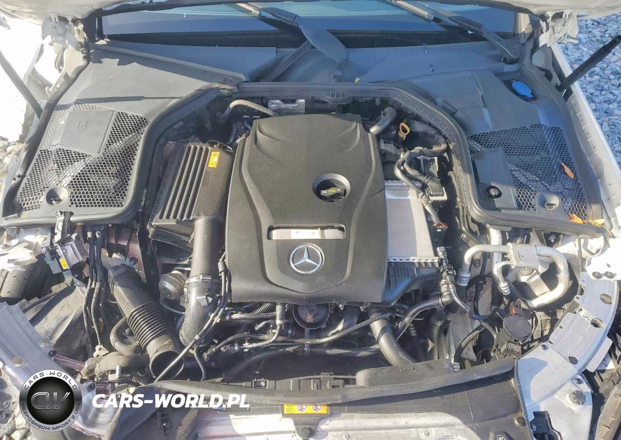 2017 Mercedes-Benz C 300 VIN:WDDWK4JB9HF521809 - 11