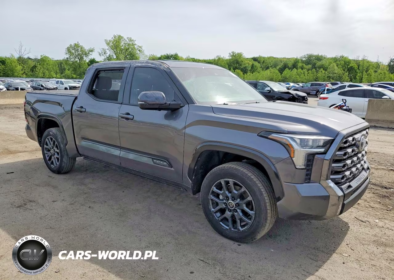 2024 Toyota Tundra Crewmax Platinum VIN:5TFNA5DB5RX222078 - 4