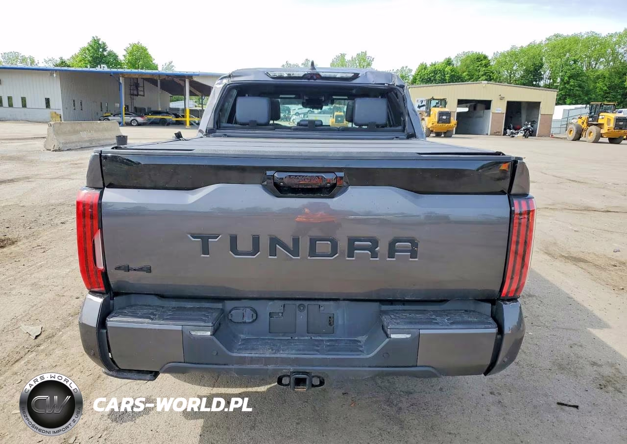 2024 Toyota Tundra Crewmax Platinum VIN:5TFNA5DB5RX222078 - 6