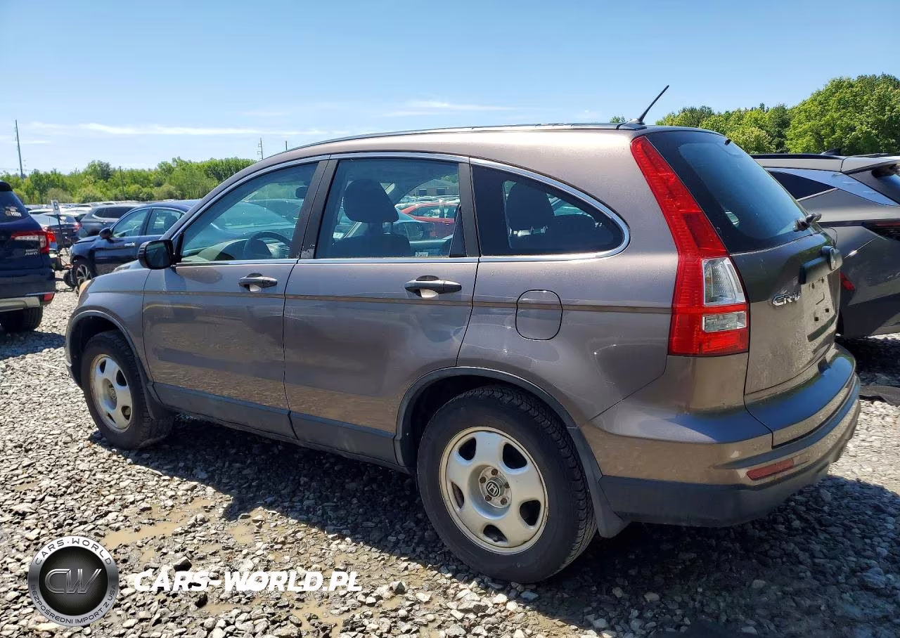2010 Honda Cr-V Lx VIN:5J6RE4H39AL081038 - 2