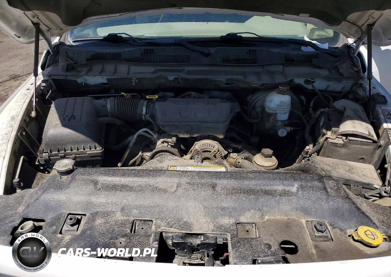 2010 Dodge Ram 1500 VIN:1D7RV1GP7AS200838 - 11