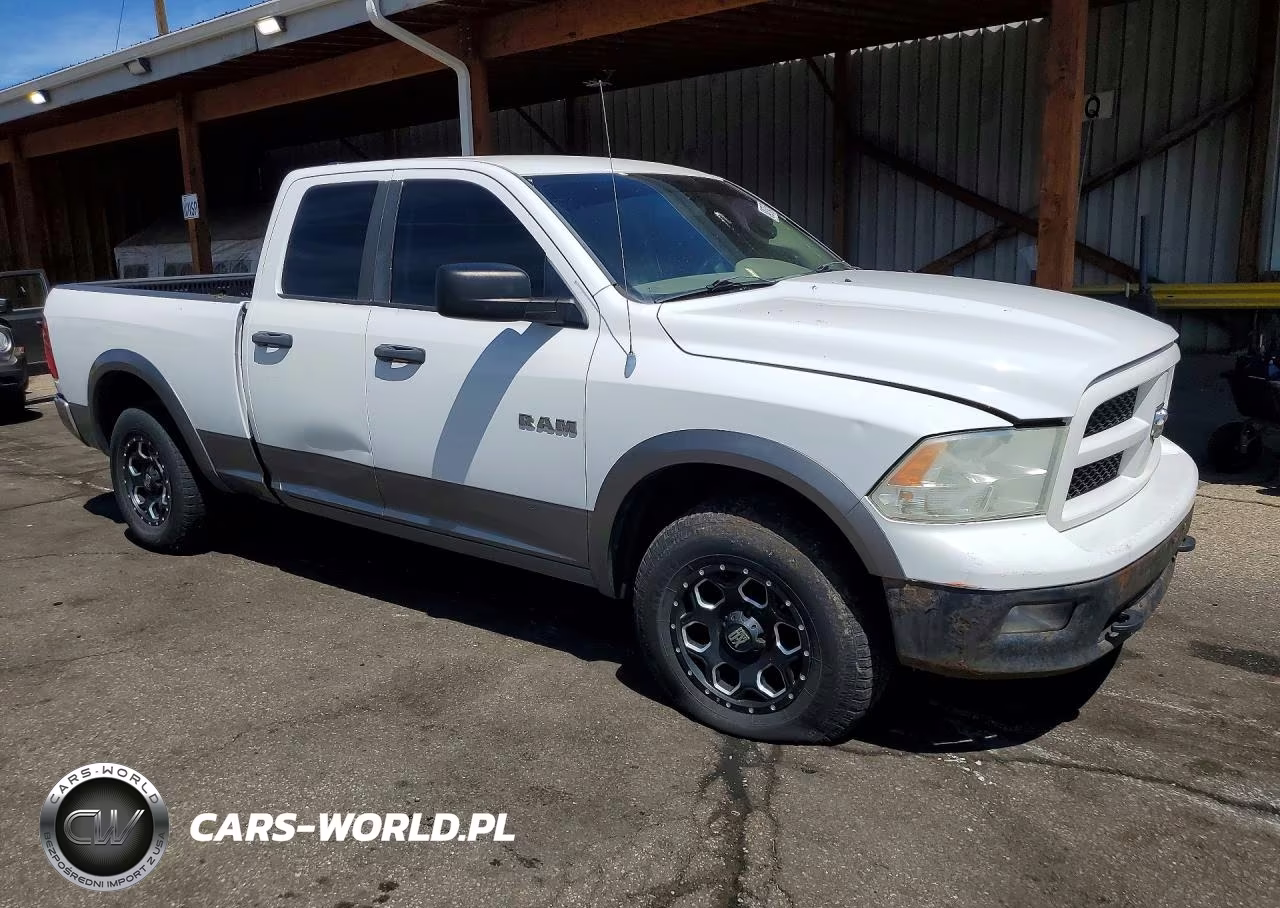2010 Dodge Ram 1500 VIN:1D7RV1GP7AS200838 - 4