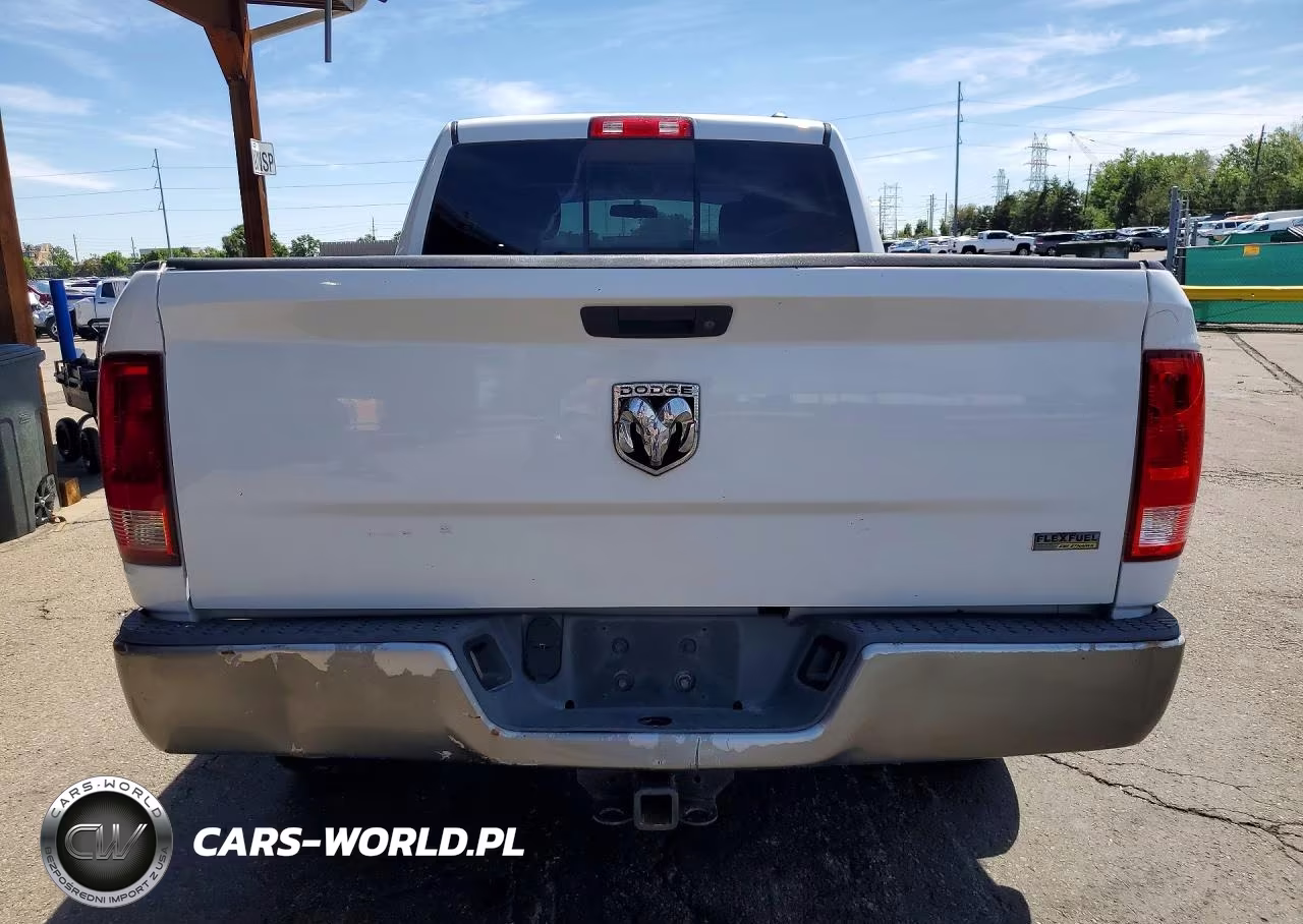 2010 Dodge Ram 1500 VIN:1D7RV1GP7AS200838 - 6