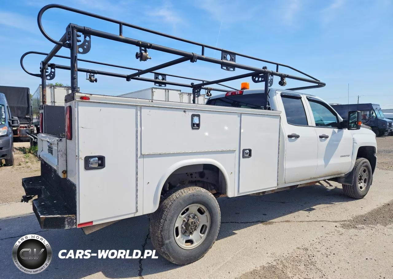 2019 Chevrolet Silverado C2500 Heavy Duty VIN:2GC2CREG3K1132185 - 3