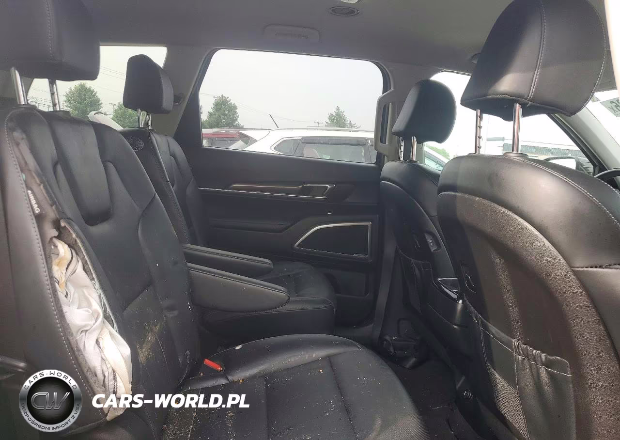2023 Kia Telluride S VIN:5XYP64GCXPG391635 - 11