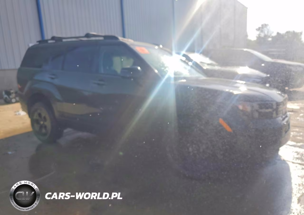 2024 Hyundai Santa Fe Xrt VIN:5NMP3DGL6RH054879 - 4