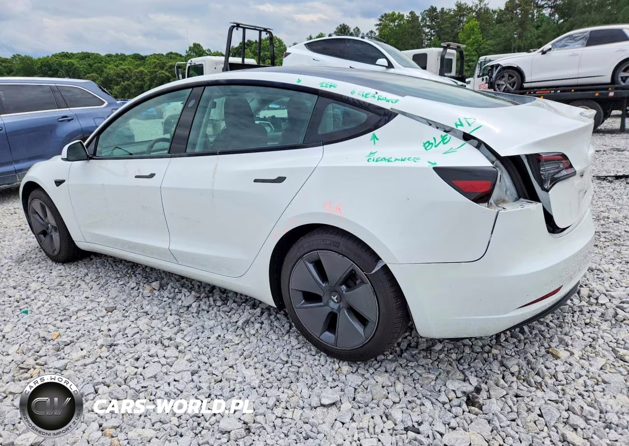 2023 Tesla Model 3 VIN:5YJ3E1EA4PF549170 - 2