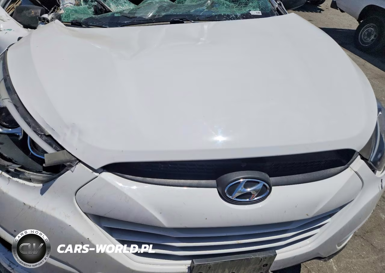 2015 Hyundai Tucson Se VIN:KM8JU3AGXFU100478 - 11