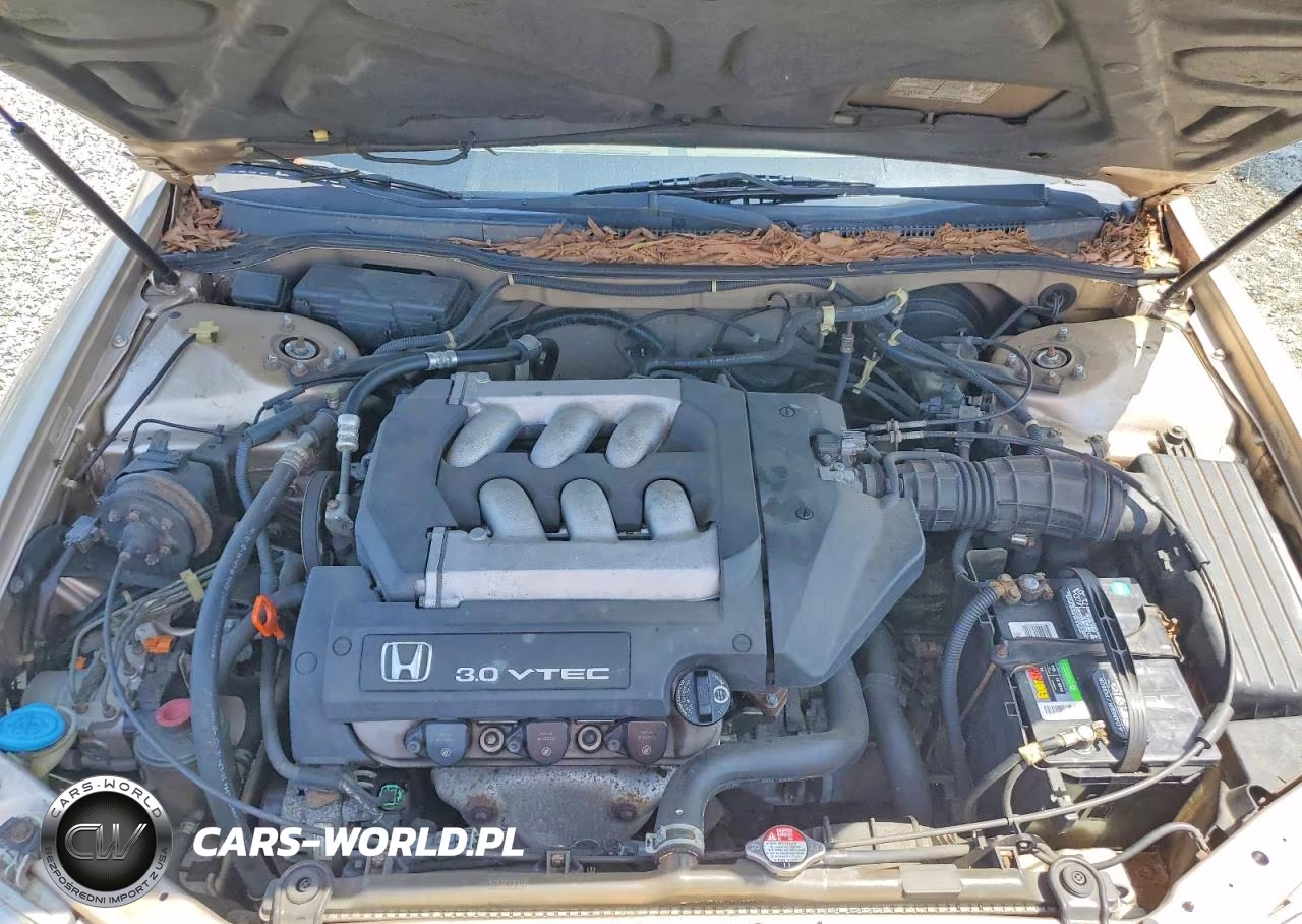 2000 Honda Accord Ex VIN:1HGCG1654YA082842 - 11