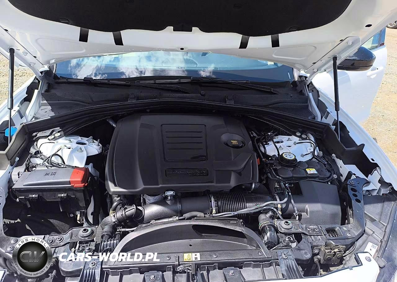 2025 Jaguar F-Pace R-Dynamic S VIN:SADCT2EX6SA753717 - 12
