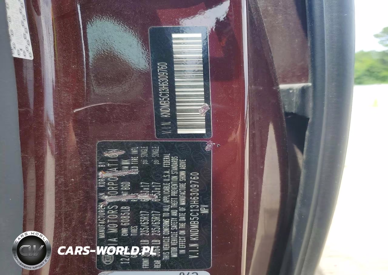 2017 Kia Sedona Lx VIN:KNDMB5C13H6309760 - 13