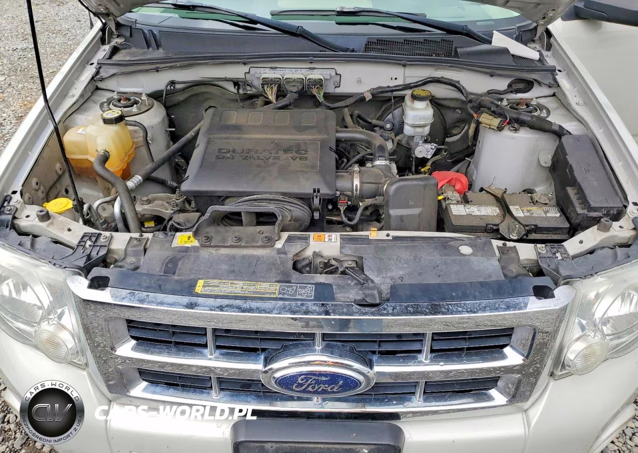 2009 Ford Escape Xlt VIN:1FMCU93G19KC30318 - 12