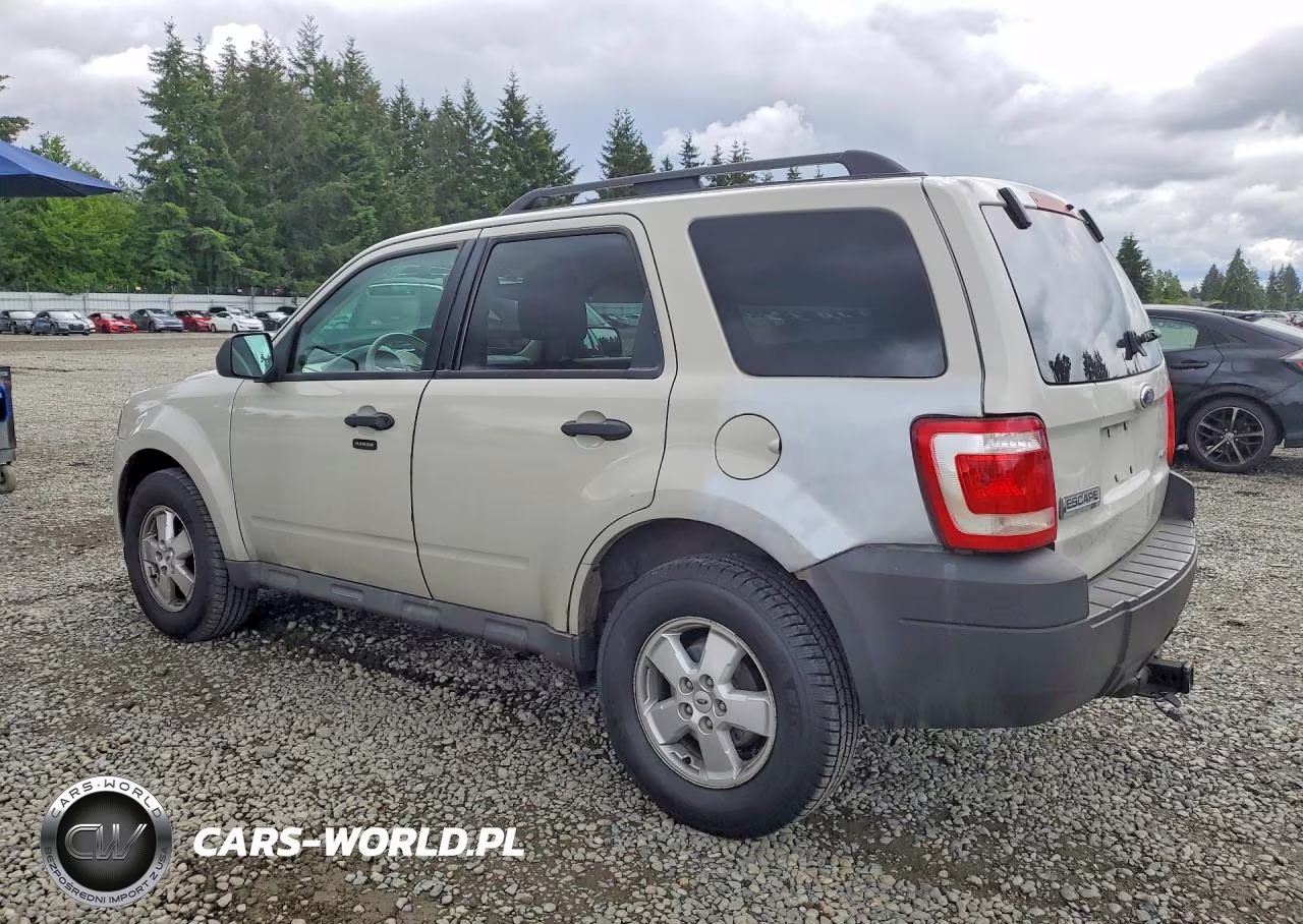 2009 Ford Escape Xlt VIN:1FMCU93G19KC30318 - 2