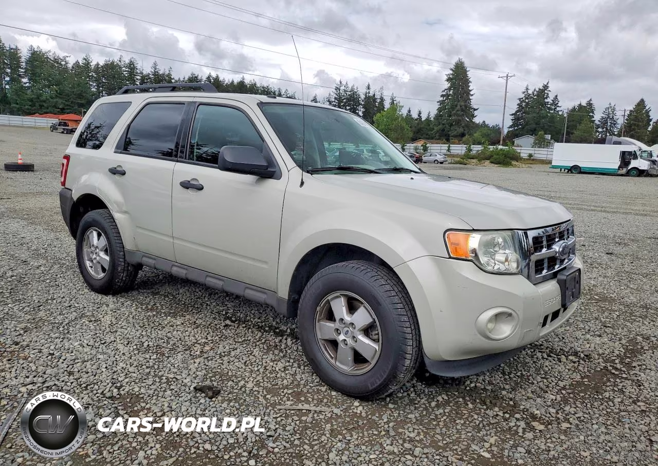 2009 Ford Escape Xlt VIN:1FMCU93G19KC30318 - 4